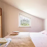 Zadarska 公寓 马卡尔斯卡