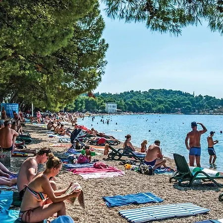 Zadarska * Makarska
